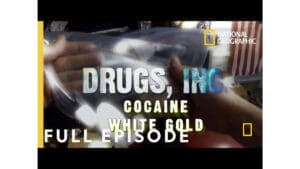 Cover photo for Inside the $37 Billion Cocaine Trade: From Peru to Los Angeles