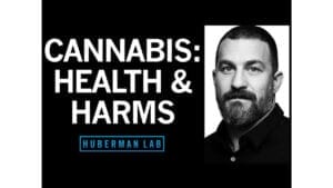 Cover photo for Dr. Andrew Huberman - The Effects of Cannabis (Marijuana) on the Brain & Body