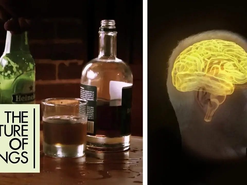 Wasted: Beating Alcohol Addiction Through Evidence-Based Treatment