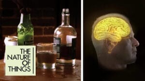 Cover photo for Mike Pond: Beating Alcohol Addiction Through Evidence-Based Treatment